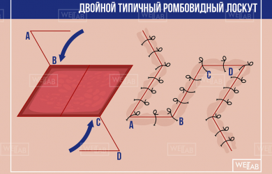 Образовательный центр WETLAB | Базовый модуль по пластической хирургии