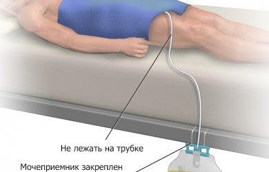 Образовательный центр WETLAB | 